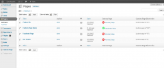 Custom Page screenshot 1