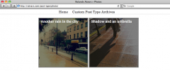 Custom Post Type Archives screenshot 2
