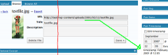 Custom Upload Dir screenshot 2