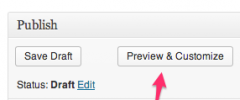 Customizer Everywhere screenshot 1