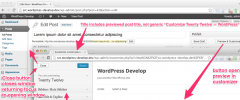 Customizer Everywhere screenshot 3