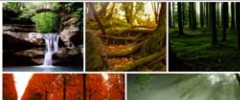 Cynatic WP Gallery screenshot 1