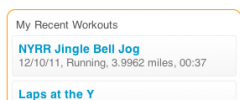 Dailymile Widgets screenshot 2