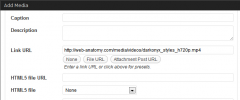 DarkOnyx Plugin for WordPress screenshot 3