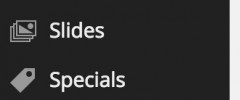 Dashicons + Custom Post Types screenshot 3