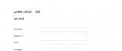 db-form screenshot 1