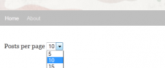 DB Posts per page screenshot 3