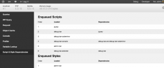Debug Bar List Script & Style Dependencies screenshot 1