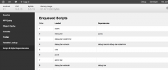 Debug Bar List Script & Style Dependencies screenshot 2