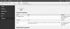 Debug Bar Transients screenshot 1