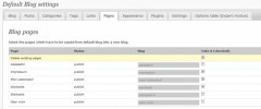 Default Blog screenshot 2