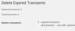 Delete Expired Transients screenshot 1
