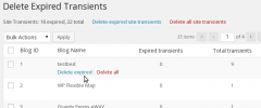 Delete Expired Transients screenshot 2