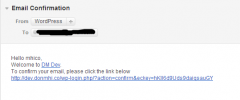 DM Confirm Email screenshot 2