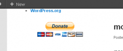 donate through paypal widget screenshot 1