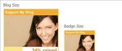 Donation Widget screenshot 1