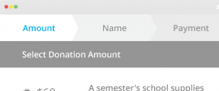 Donorbox Donation Form screenshot 2