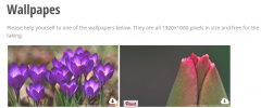 downloadable gallery screenshot 1