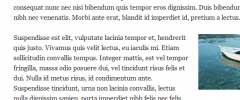Dummy Text Shortcode screenshot 1