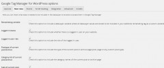 DuracellTomi's Google Tag Manager for WordPress screenshot 2