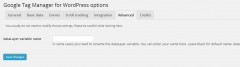 DuracellTomi's Google Tag Manager for WordPress screenshot 5