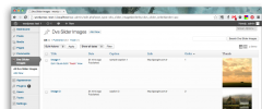 DVS Slider screenshot 2
