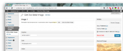 DVS Slider screenshot 3