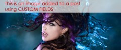 Dynamic Content Gallery screenshot 1