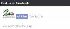 Easy Facebook Like Box screenshot 1