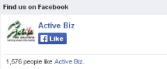 Easy Facebook Like Box screenshot 2