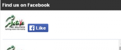 Easy Facebook Like Box screenshot 3