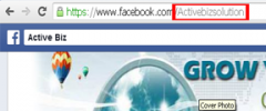 Easy Facebook Like Box screenshot 4