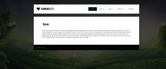 Easy Fullscreen Slider screenshot 3