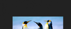 Image Uploader Widget screenshot 3