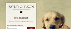 Easy Landing Pages screenshot 2