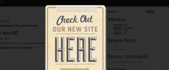 Easy Nag Popup screenshot 2
