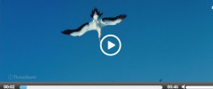 Easy Video Player screenshot 1