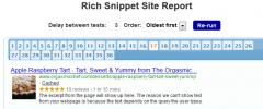 Rich Snippet Site Report screenshot 3