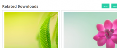 EDD Related Downloads Carousel free screenshot 1