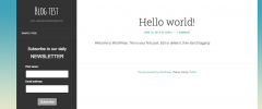 Email Blaster Newsletter Signup Form screenshot 1