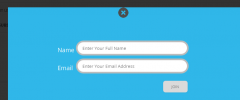 Email Subscriber screenshot 2