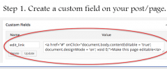 Embed Custom Field screenshot 1