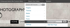 Enhanced Admin Bar with Codex Search screenshot 1