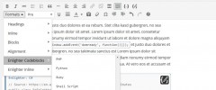 Enlighter - Customizable Syntax Highlighter screenshot 7