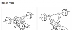 Exercise Images by Everkinetic screenshot 1