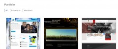 Expert Village Media Portfolio screenshot 2