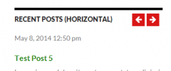 Extensive Recent Posts Widget screenshot 8