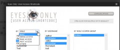 Eyes Only: User Access Shortcode screenshot 3