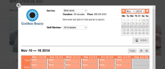EzyOnlineBookings Online Booking System Widget screenshot 1