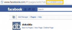 Facebook Fan box screenshot 2